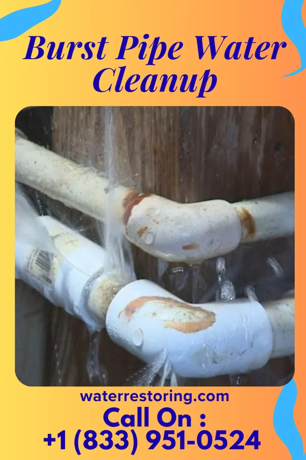 Burst Pipe Water Cleanup in Stewartsville, VA
