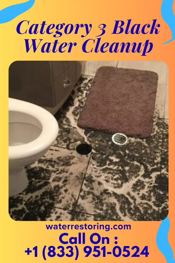 Category 3 Black Water Cleanup in Stewartsville, VA