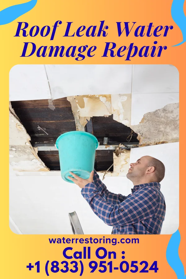 Roof Leak Water Damage Repair in Stewartsville, VA