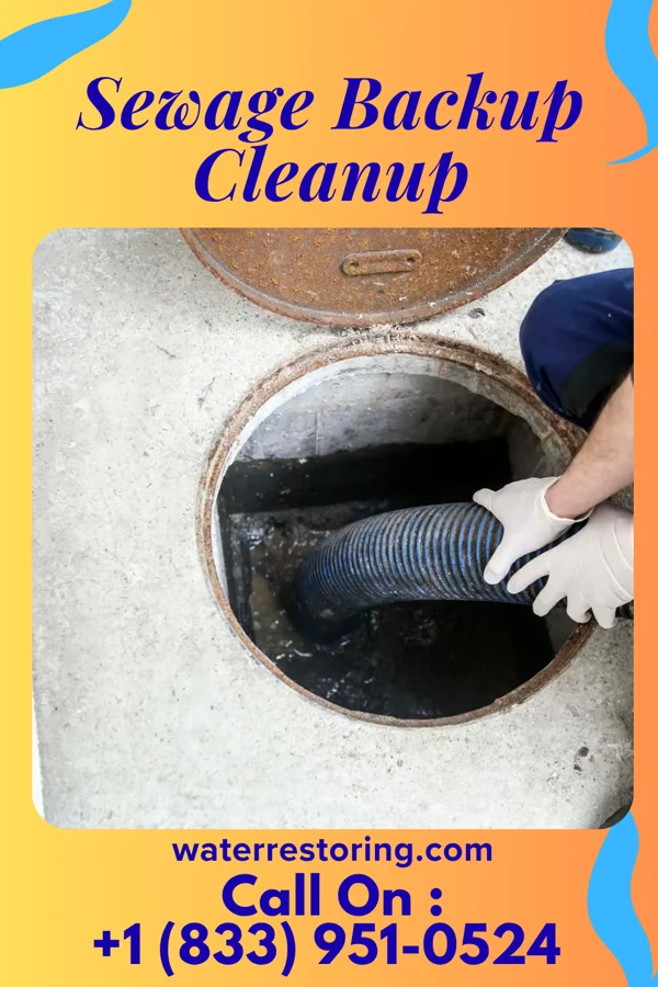 Sewage Backup Cleanup in Stewartsville, VA