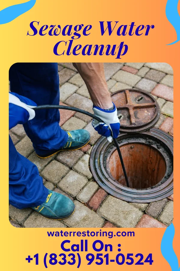 Sewage Water Cleanup in Stewartsville, VA